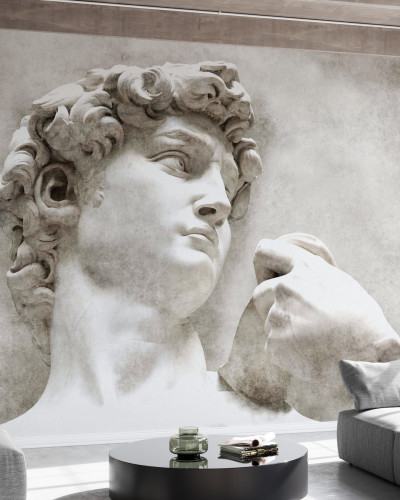 David Statue by Michelangelo, Photowall