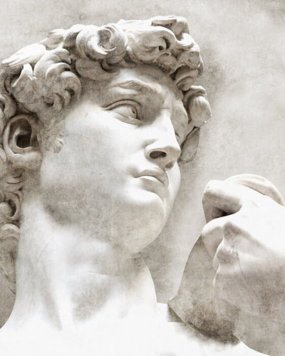 David Statue by Michelangelo, Photowall