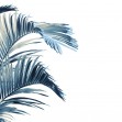 Piece of Paradise, Cobalt, Photowall