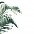 Piece of Paradise, Olive, Photowall