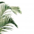 Piece of Paradise, Viridescent, Photowall