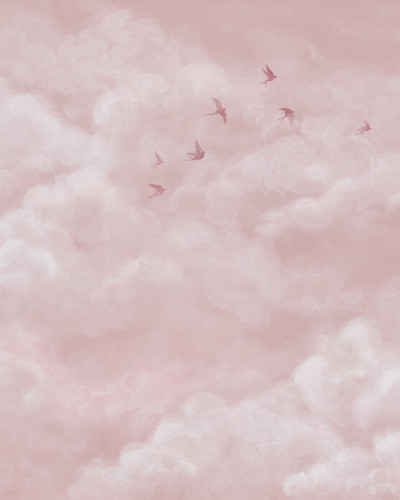 Tender Clouds with Swallows, Pink, Photowall