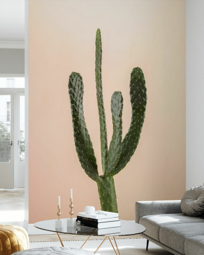 Tapet cu cactus pe fond bej