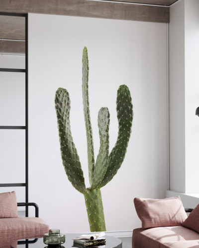 Tapetă foto cu cactus minimalist, alb, Cacti White