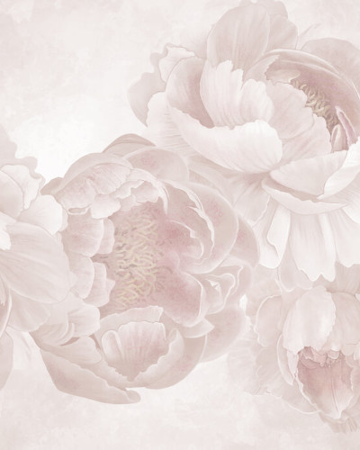 Peony, Photowall