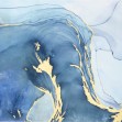 Sea Whirl, Photowall