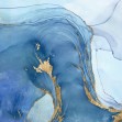 Sea Whirl II, Photowall