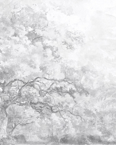 Beauty Everywhere - Grey, Photowall