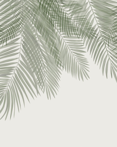 Hanging Palm Leaves, Beige-Green, Photowall