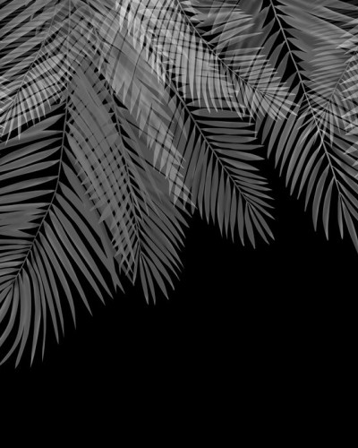 Hanging Palm Leaves, Black-White, Photowall