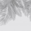 Hanging Palm Leaves, Gray, Photowall