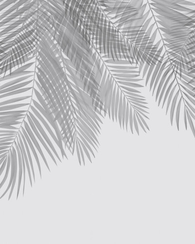 Hanging Palm Leaves, Gray, Photowall