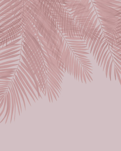 Hanging Palm Leaves, Pink, Photowall