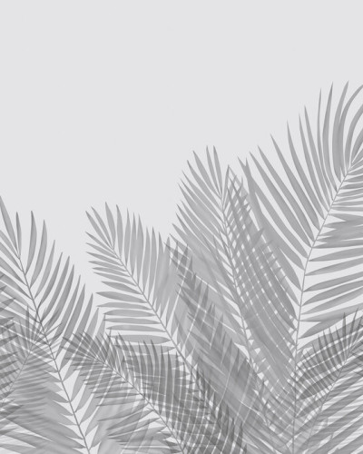 Swaying Palm Leaves - Gray, Photowall