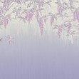 Wisteria, Violet, Photowall