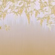 Wisteria, Yellow, Photowall