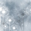Dandelion Sky, Photowall