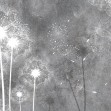 Dandelion Sky II, Photowall