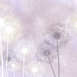 Dandelion Sky III, Photowall