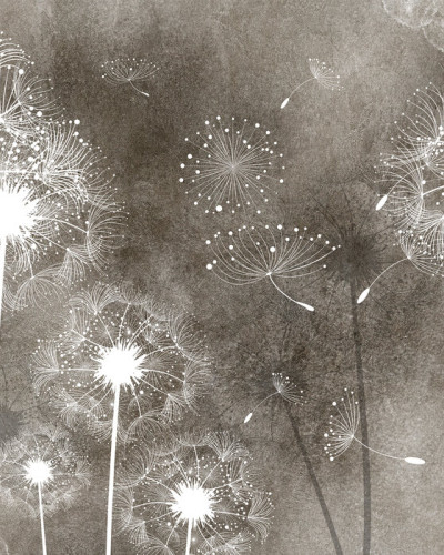 Tapet Dandelion Sky IV cu flori de păpădie albe pe fond brun