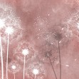Dandelion Sky V, Photowall