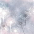 Dandelion Sky VI, Photowall