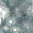 Dandelion Sky VII, Photowall