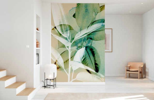 Fototapet Ficus Elastica, Photowall