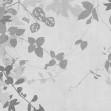 Ivy Forest, Gray, Photowall