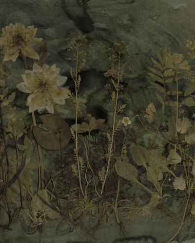 Tapet floral cu nuanțe de verde și maro cu flori uscate pe fundal verde închis. Tapetul este afișat pe peretele unui spațiu modern, cu un scaun negru în fața lui.