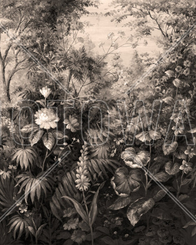 Fototapet cu design botanic sepia într-un living modern