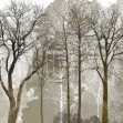Autum in the Woods, Photowall