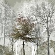 Cool Summer in the Woods, Photowall
