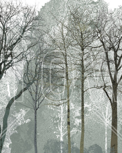 Early Spring in the Woods - imagine de fundal cu copaci goi