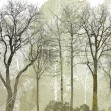 Spring in the Woods, Photowall