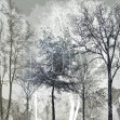 Winter Blues in the Woods, Photowall