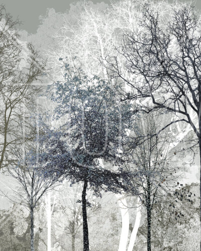 Tapet Winter Blues in the Woods cu design abstract de pădure în albastru si alb, aplicat pe peretele unui living cu mobilier modern.