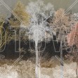 Hidden Bird, Black Ochre, Photowall