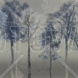 Hidden Bird, Blue Grey, Photowall