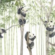 Panda Friends, Bright, Photowall