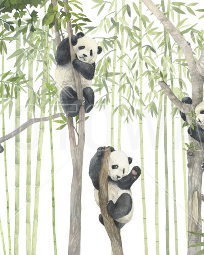 Panda Friends, Bright wallpaper, cu pandine drăguțe ce se joacă în pădurea de bambus.
