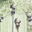 Panda Friends, Photowall