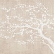Sakura Spring, Photowall