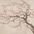 Sakura Spring VII, Photowall