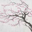 Sakura Spring X, Photowall
