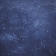 Zoodiac Sky, Photowall