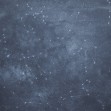 Zoodiac Sky II, Photowall