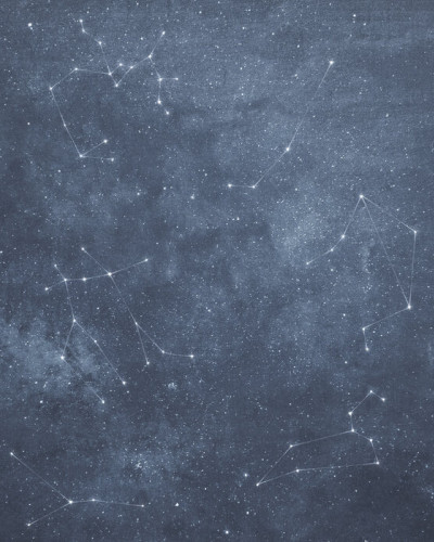 Zoodiac Sky II, Photowall