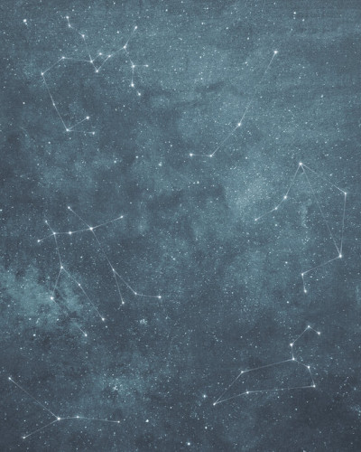 Zoodiac Sky III, Photowall