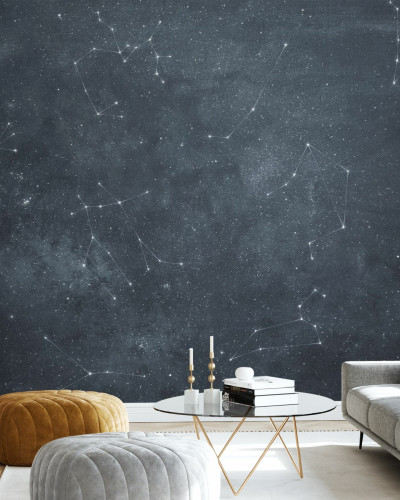 Zoodiac Sky IV, tapet cu stele și constelații pe un fundal gri,  imagine modernă și minimalistă pentru decorarea pereților